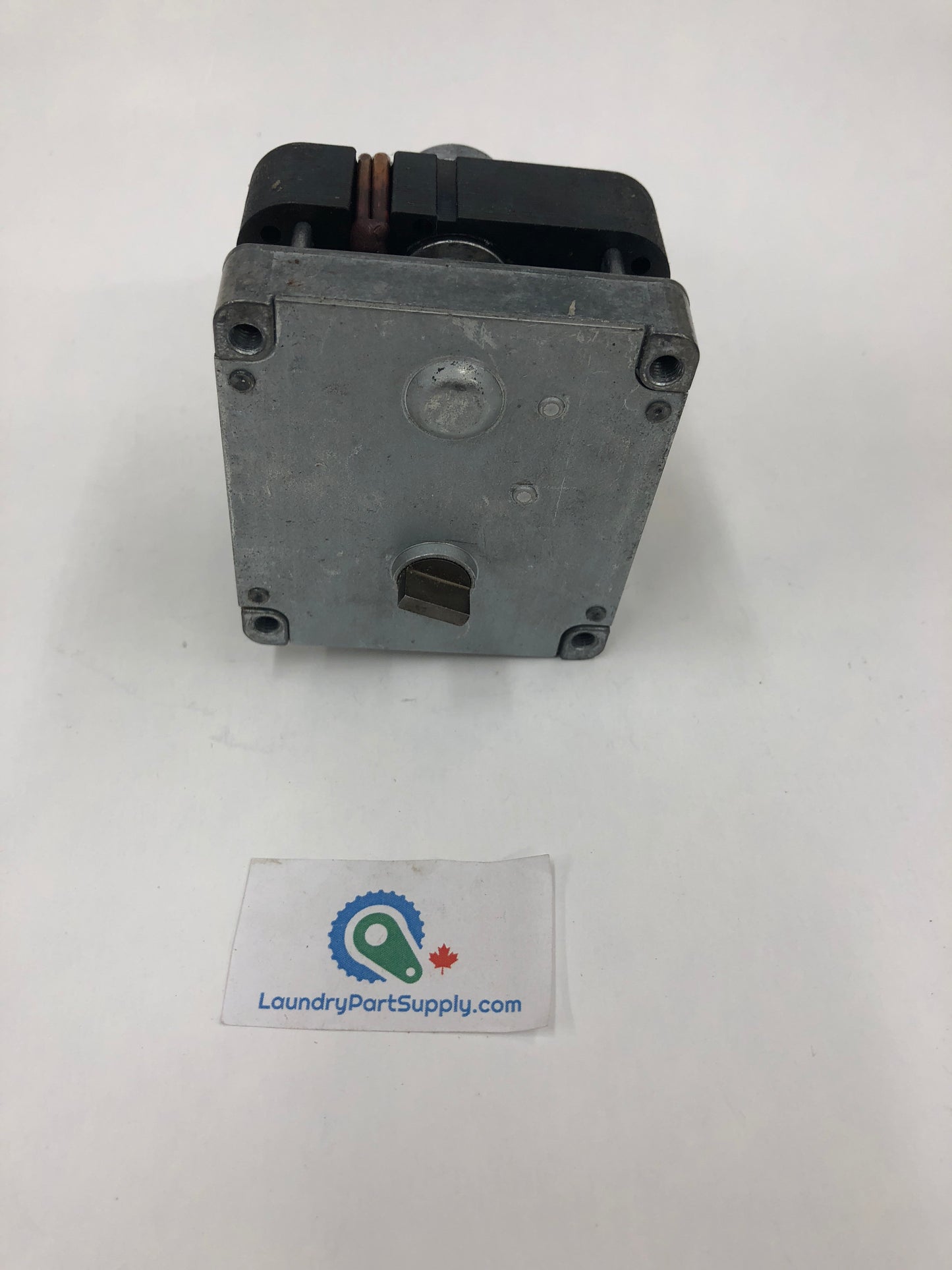3" DRAIN MOTOR & GEAR 120V 50/60CMTR