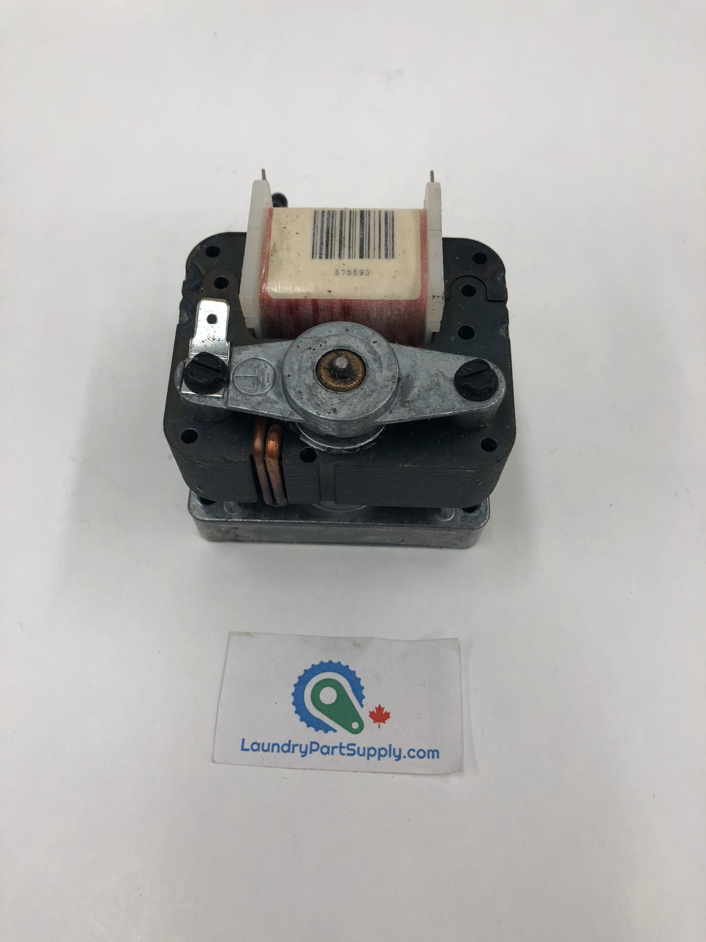 3" DRAIN MOTOR & GEAR 120V 50/60CMTR